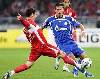 的韌性感到 的韌性感到